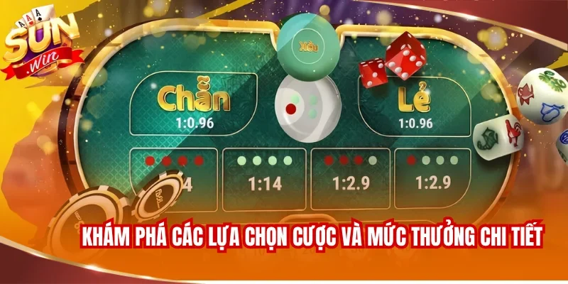 Khám phá các lựa chọn cược và mức thưởng chi tiết 
